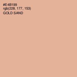 #E4B199 - Gold Sand Color Image